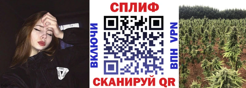 МАРИХУАНА VHQ  наркота  блэк спрут ТОР  Канаш 